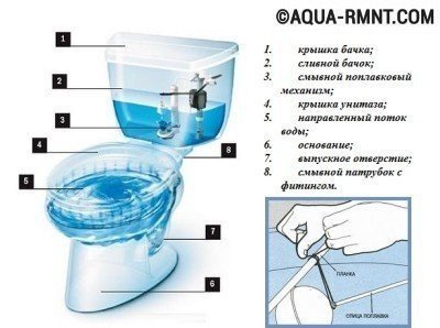 Все унитазы состоят из чаши и ёмкости с водой