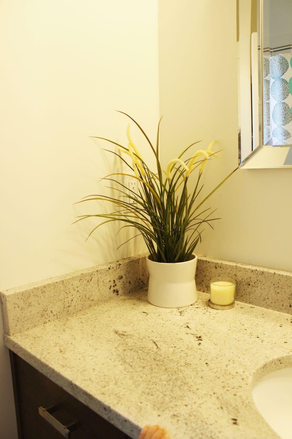 Decorating the bathroom with small plants