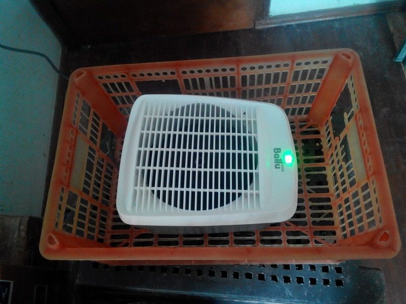 тепловентилятор для самодельной электрической сушилки