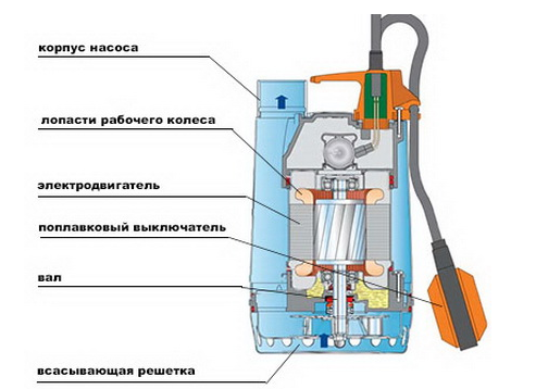 Схема устройства дренажного насоса