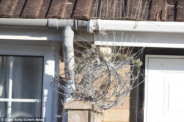 Miss Upton’s neighbour, Valerie Pollard, declined to discuss the barbed wire and spikes she had installed