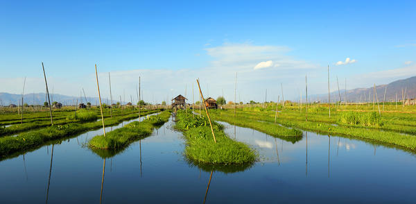Плавающие огороды народности инта. Мьянма