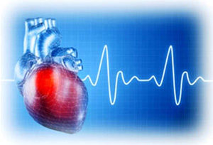 человеческое сердце на фоне графика энцефалограммы