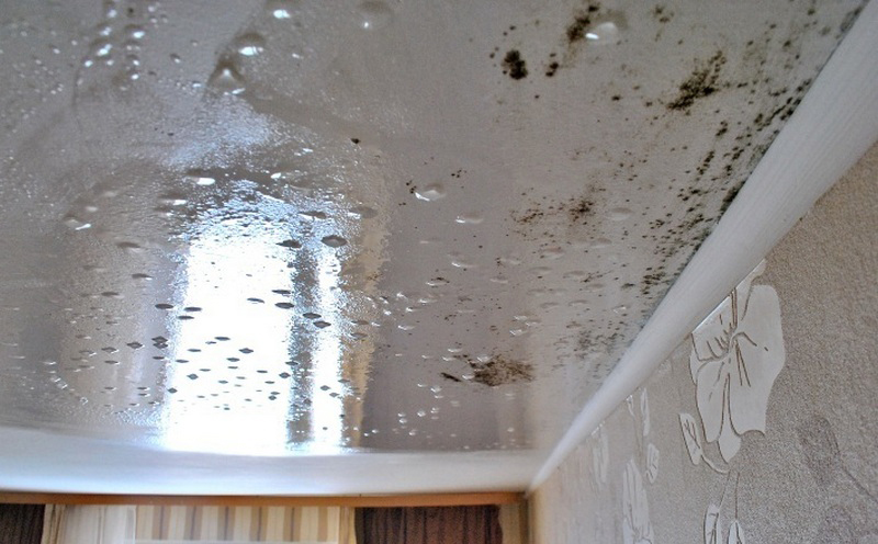 грибок на потолке