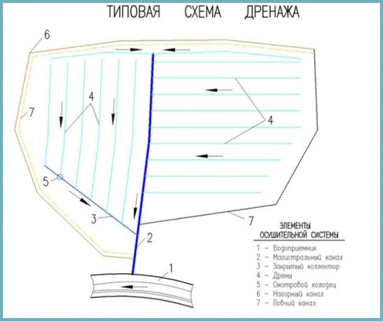 как устроен дренаж