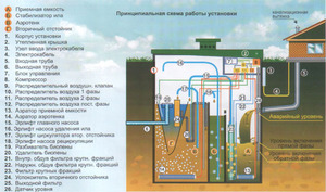Принцип работы септиков  Evo Stok