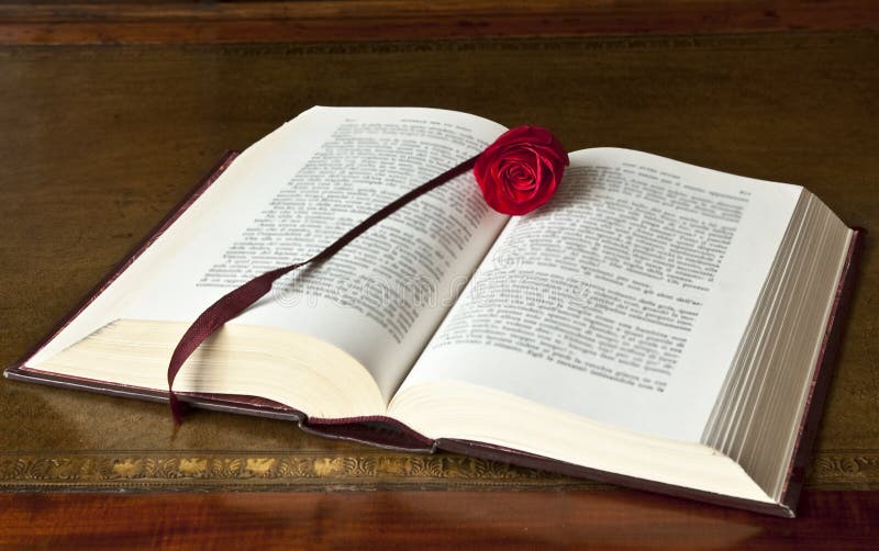 Open old book with rose stock photography