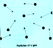 Water Molecule